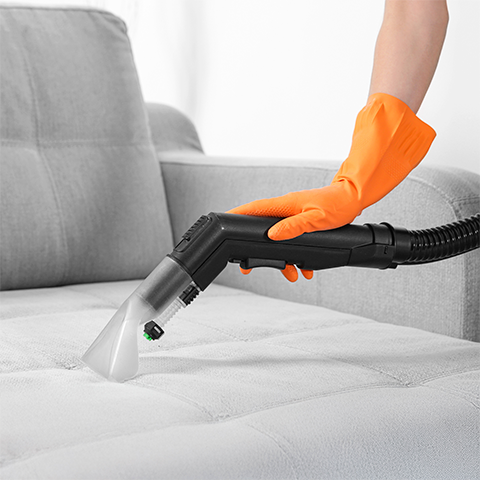 Maximoom for dry cleaning sofas, rugs and carpets